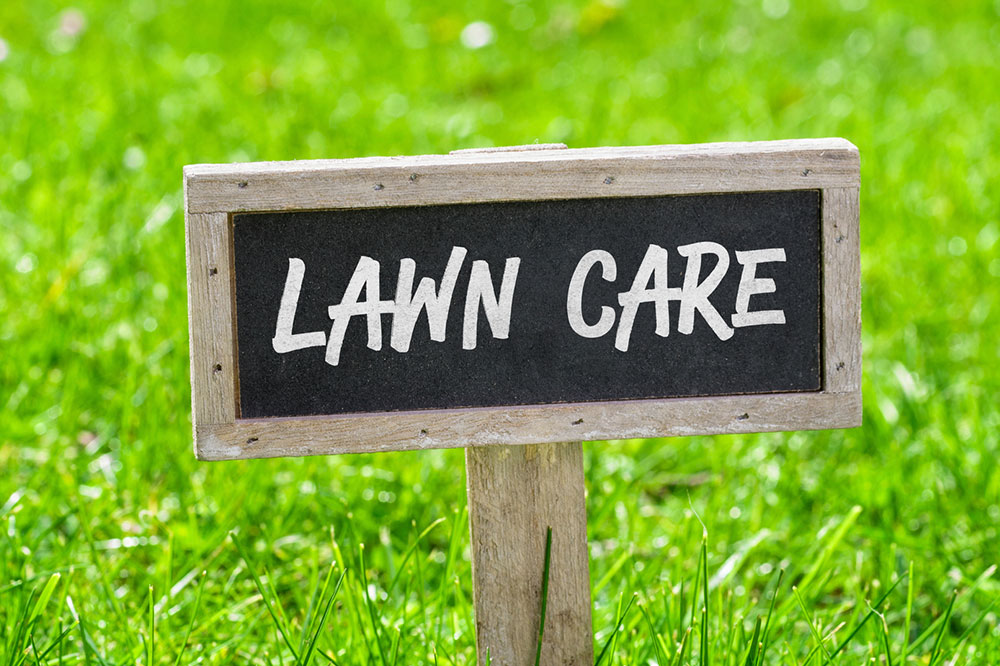 The Benefits of Eco-Green Lawn Care